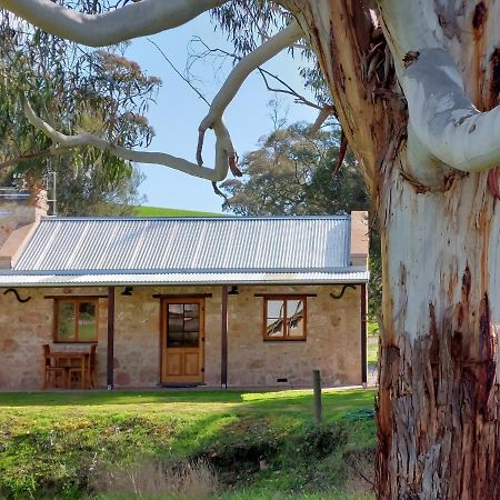 Bungaree Station Bed & Breakfast Dış mekan fotoğraf