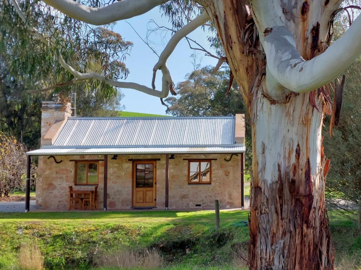 Bungaree Station Bed & Breakfast Dış mekan fotoğraf
